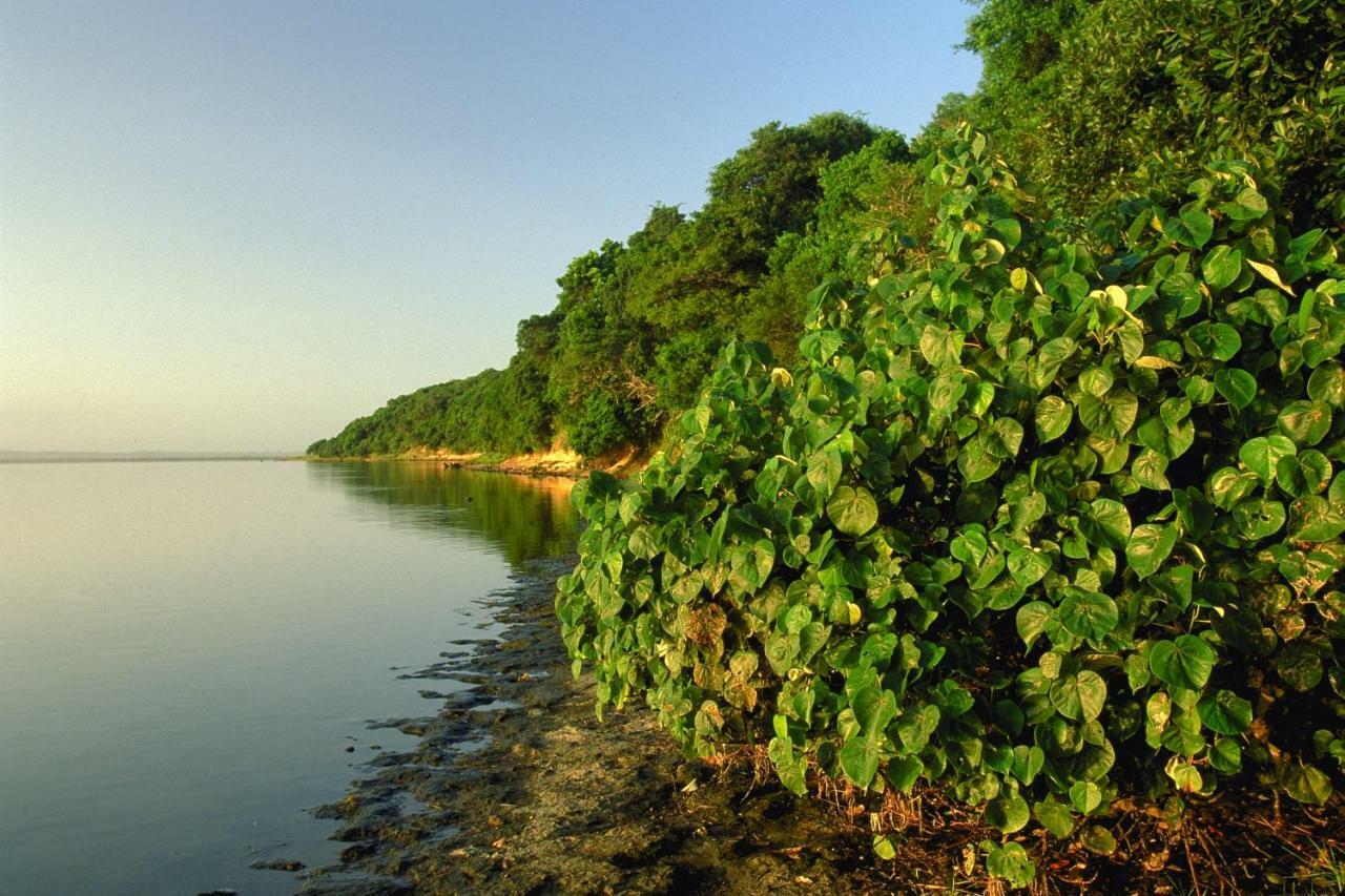 4 The Bridge Daire Saint Lucia Estuary Dış mekan fotoğraf